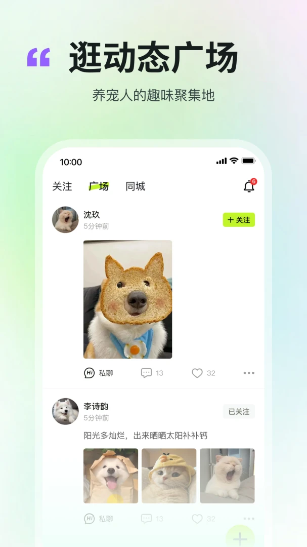 布丢2026最新版本