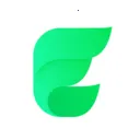 Elisi光点计划