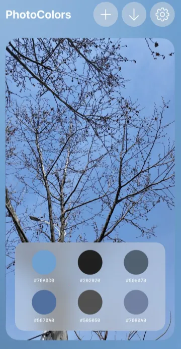 PhotoColors2026下载 PhotoColors2026下载