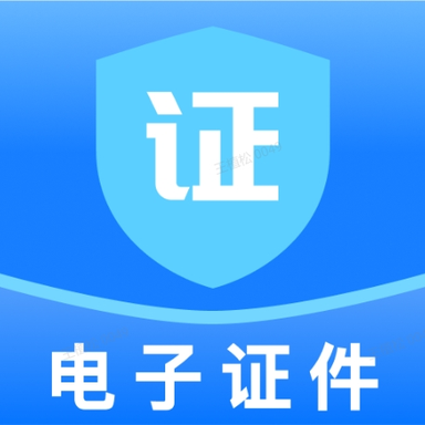 个人电子身份证件