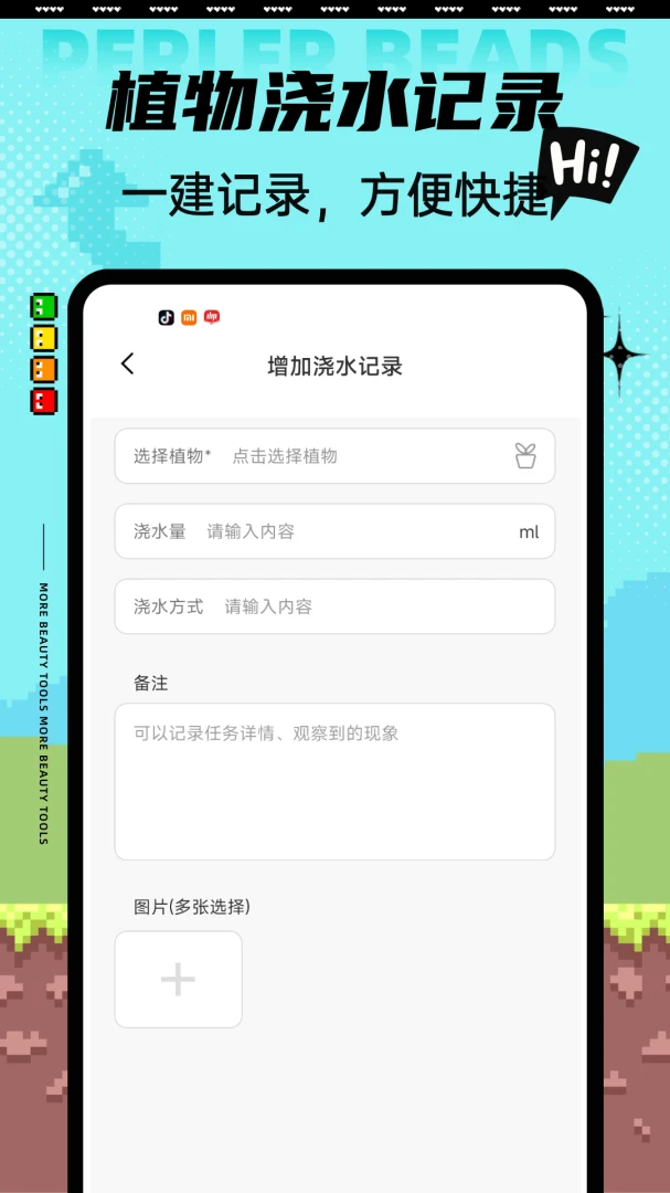 Aelu森林2026官方最新版本