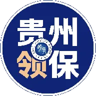 贵州领保2026下载安装