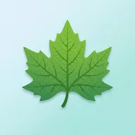辉煌梧桐安卓版手机版